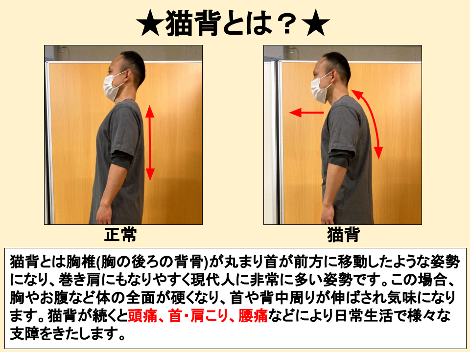猫背改善《上半身編②》